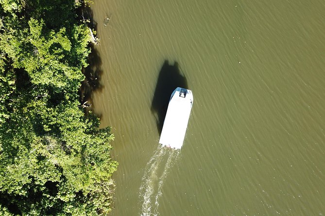 1-Hour Daintree River wildlife cruise - What makes this Daintree cruise worth your hour