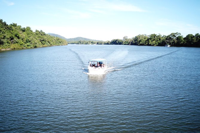 1-Hour Daintree River wildlife cruise - Is $25.10 good value?