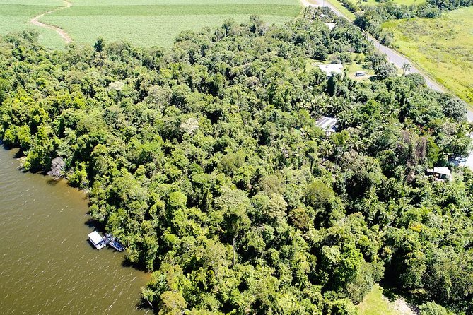 1-Hour Daintree River wildlife cruise - Who will enjoy this most?