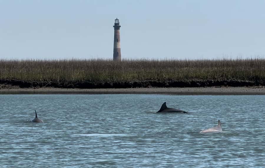 2hr Private River Cruise with stop at Morris Island - Leaving from Folly Beach