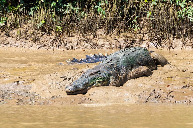 Adelaide River Cruises - Jumping Crocodile Experience - Who will enjoy this experience most