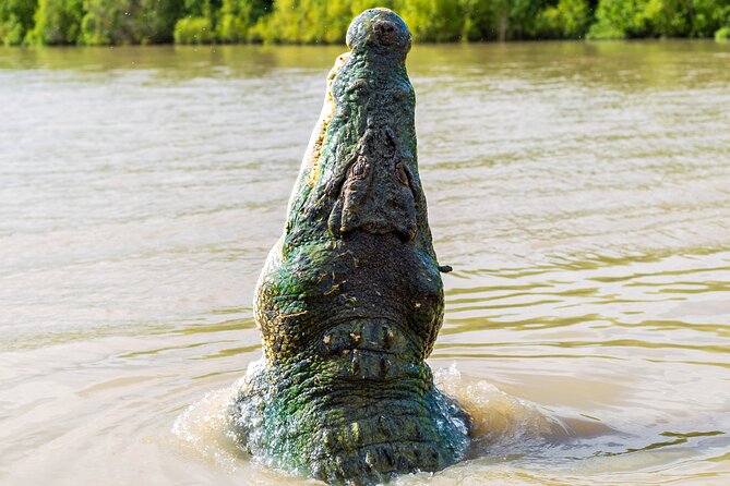 Adelaide River Cruises - Jumping Crocodile Experience - Boarding the shaded boat