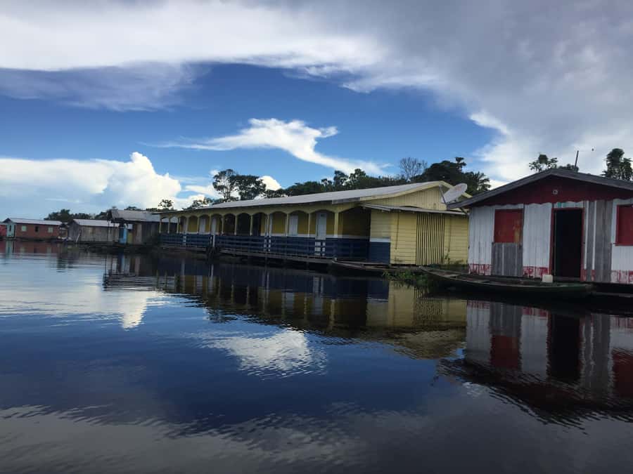 Amazonas: Boat Ride with a Local Amazonian - Entering the flooded forest, or Igapó