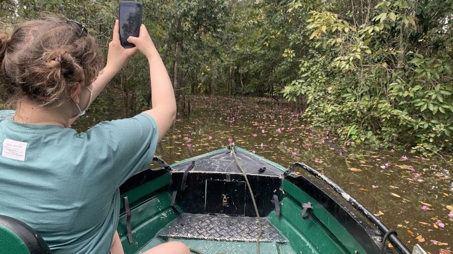 Amazonas: Boat Ride with a Local Amazonian - Watching the two rivers refuse to mix