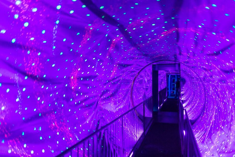 Amsterdam 1-Hour Canal Cruise and Ripley’s Believe it or Not - Is $41 a fair price?