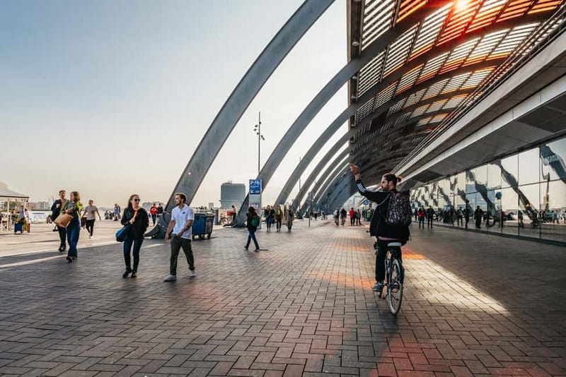 Amsterdam Bike Tour in Small Group + Optional Canal Cruise - A breather through Vondelpark