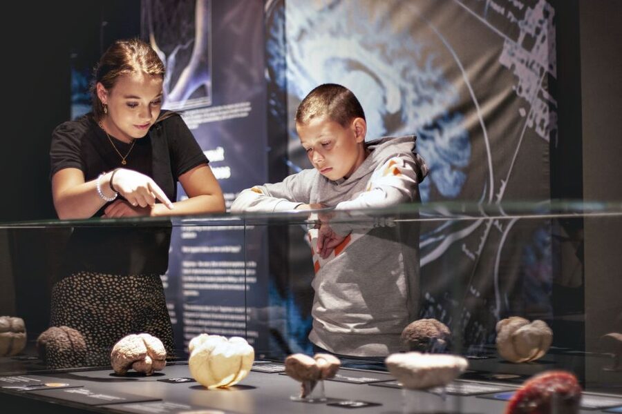 Amsterdam: Body Worlds Exhibition and Canal Cruise - Should you book it?