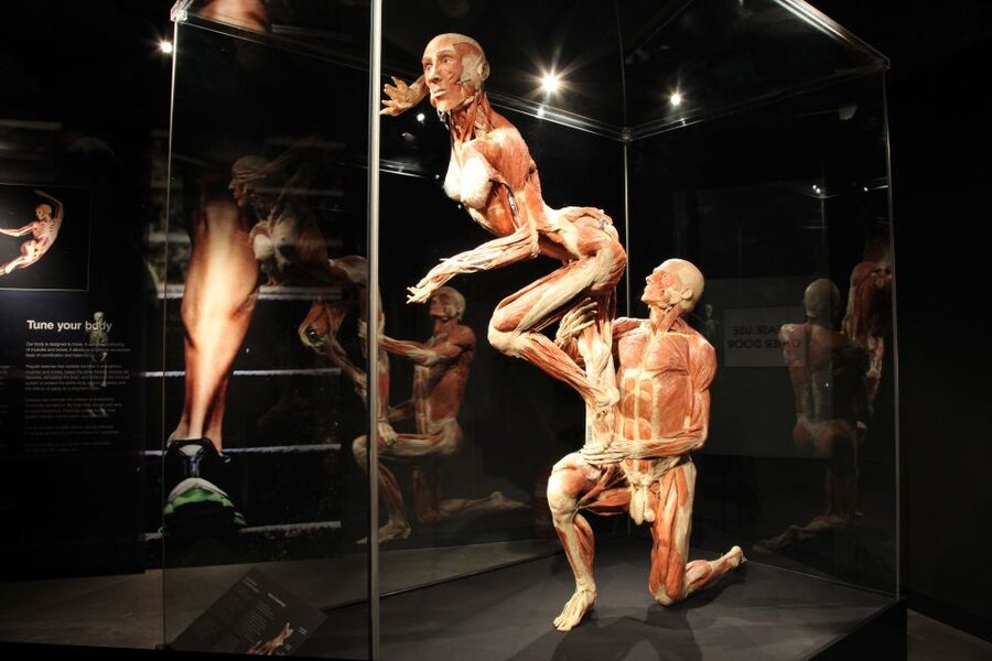 Amsterdam: Body Worlds Exhibition and Canal Cruise - The Damrak location and the view toward Dam Square