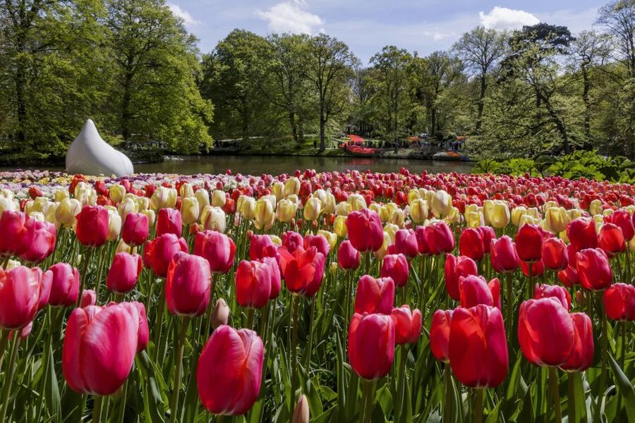 Amsterdam: Keukenhof Ticket with Shuttle Bus + Canal Cruise - Entering Keukenhof and planning your route