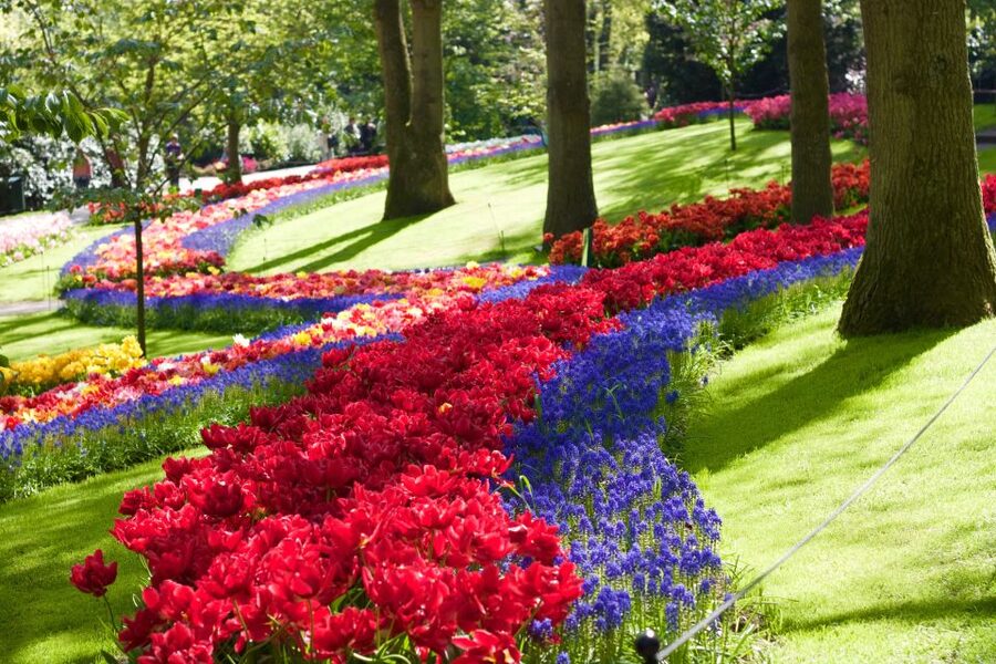 Amsterdam: Keukenhof Ticket with Shuttle Bus + Canal Cruise - Returning from Keukenhof on your own schedule
