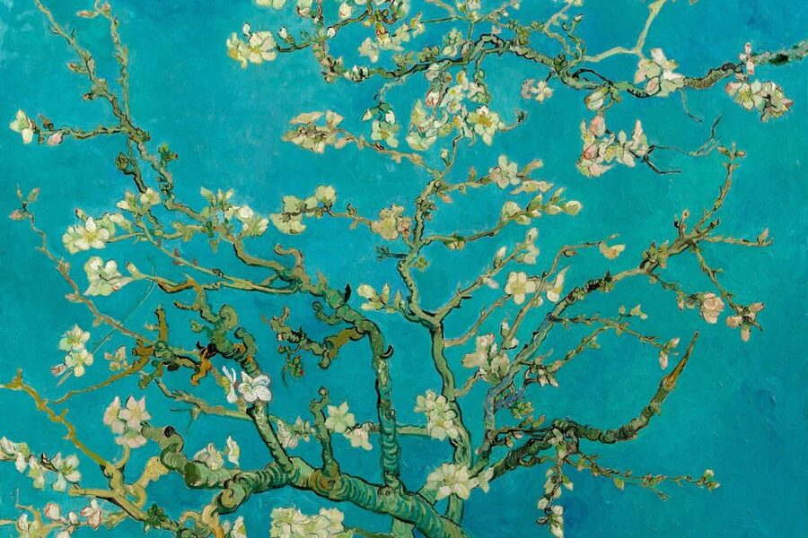 Amsterdam: Van Gogh Museum Ticket and City Canal Cruise - Why this combination works in Amsterdam