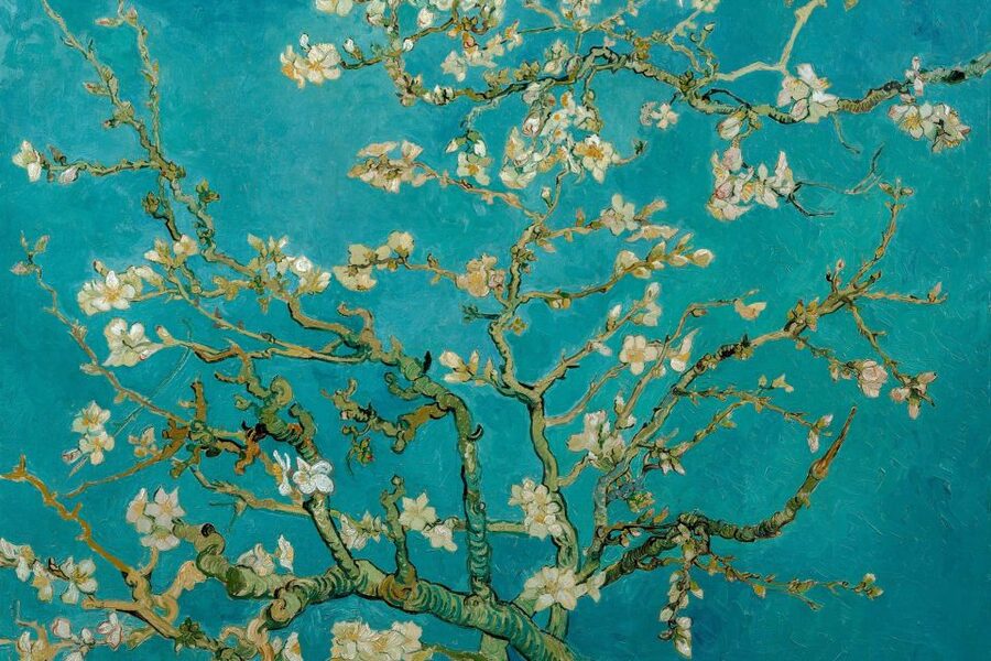 Amsterdam: Van Gogh Museum Ticket & Canal Cruise - Is $47 good value?