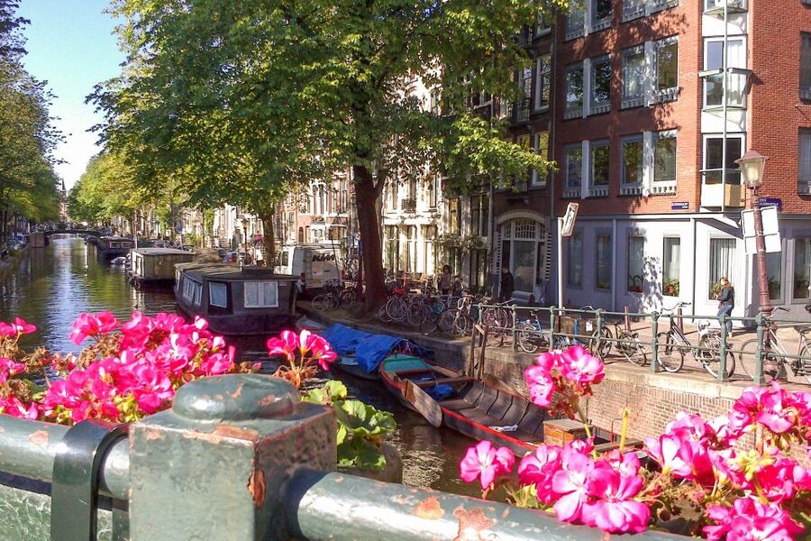 Amsterdam Walking Tour and Canal Cruise - Why this private format works well in Amsterdam