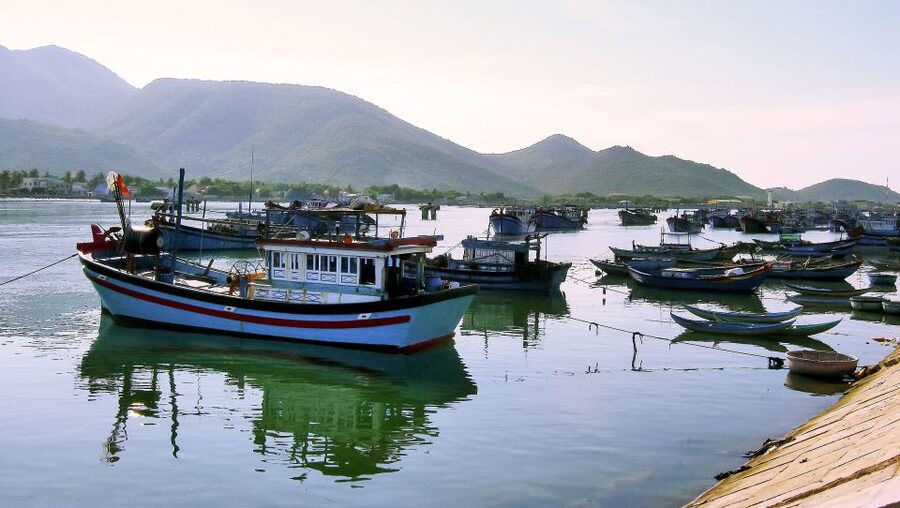 Aswan: Private Nile Boat Cruise and Botanical Garden Visit - Lord Kitchener Island and the Botanical Garden