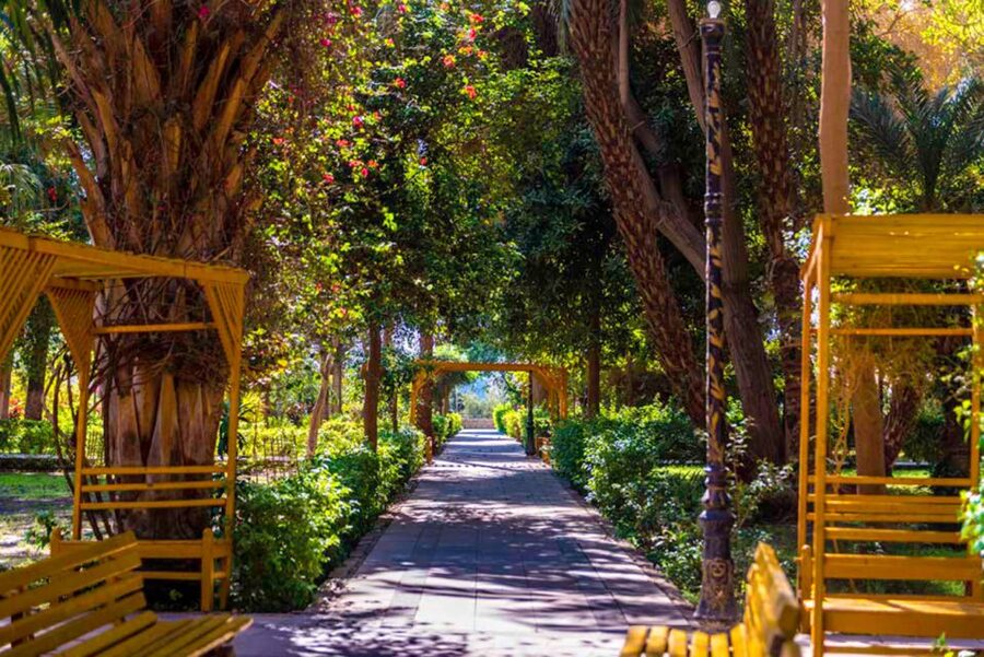 Aswan: Private Nile Boat Cruise and Botanical Garden Visit - Practical tips before you go
