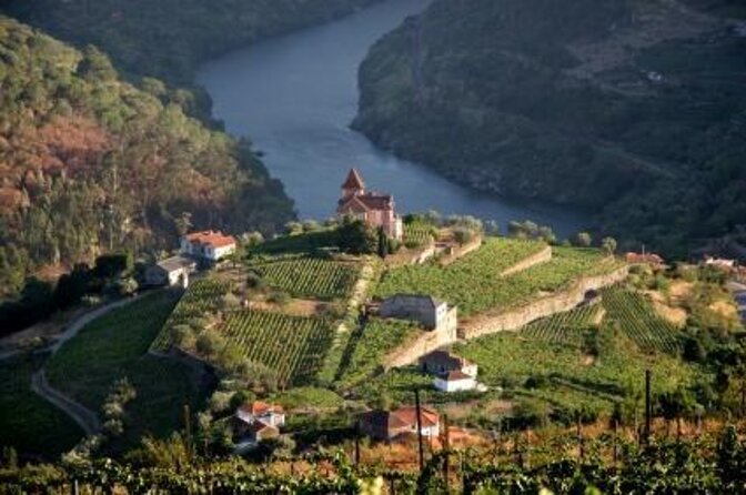 Authentic Small Group Douro Wine Tour with Lunch & River Cruise - Key Points Before You Book