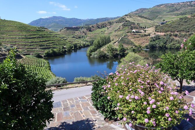 Authentic Small Group Douro Wine Tour with Lunch & River Cruise - The Second Winery and a More Personal Feel