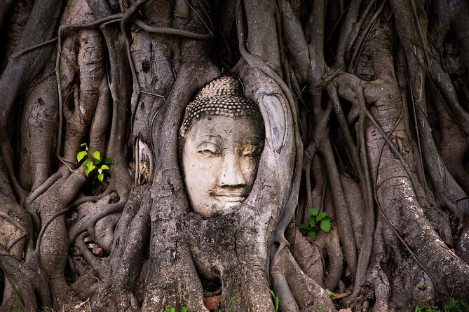 Ayutthaya Temples and River Cruise from Bangkok - Wat Mahathat and the famous Buddha head