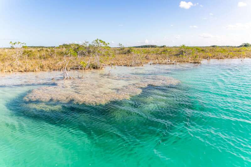 Bacalar: Private Boat Tour - Pirate Canal, Cenotes & Islands - Bird Island and ancient lifeforms