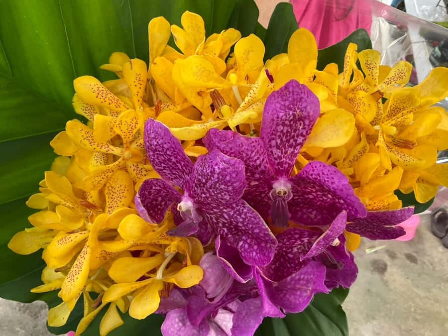 Bangkok Canal Small Teak Boat Full-Day Tour - The fresh produce market and local routines