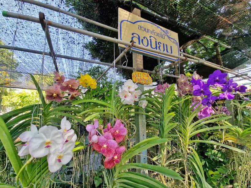 Bangkok Canals Hop-On Hop-Off Boat Tour - The Artist House for a slower cultural stop