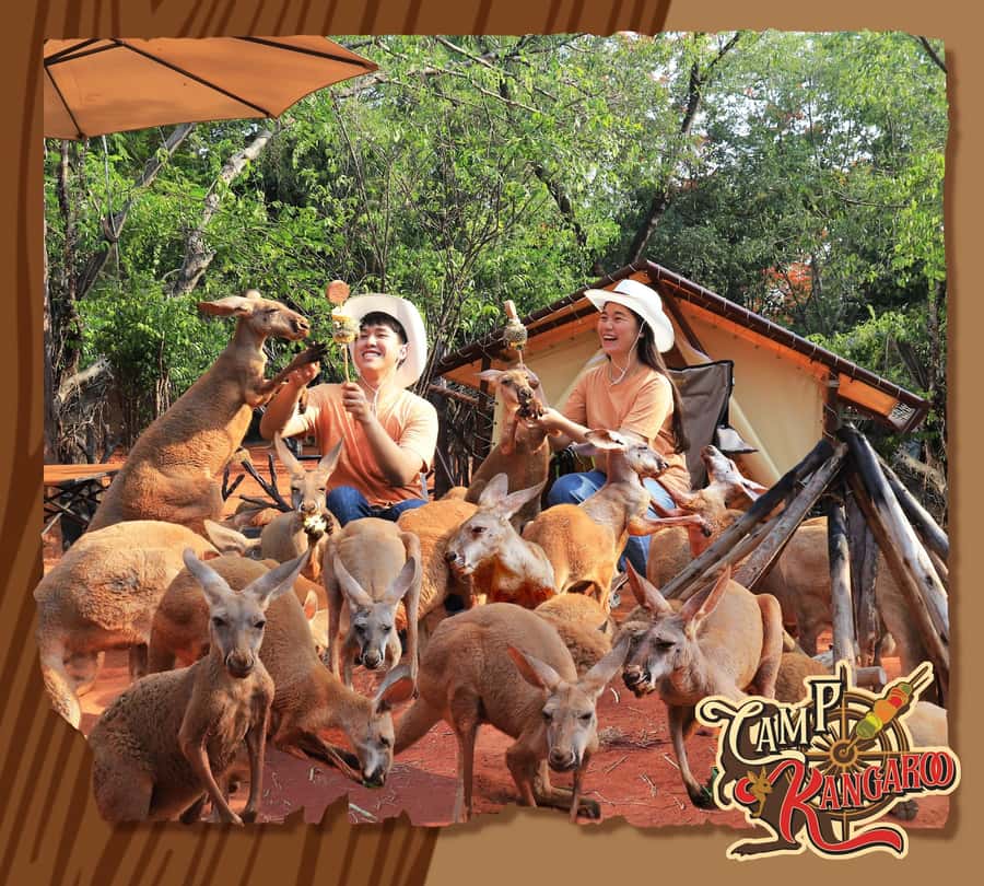 Bangkok: Private Family Tour to Safari & River Dinner Cruise - Morning pickup and the ride to Safari World