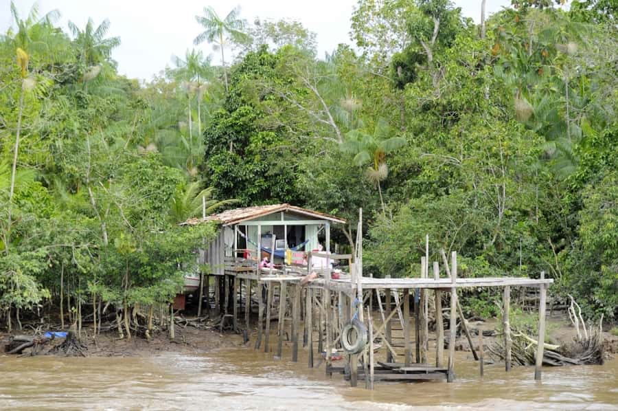 Belém: Half-Day Furos Boat Tour & Riverside Community Visit - Key points at a glance