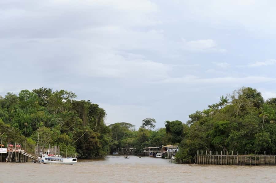 Belém: Half-Day Furos Boat Tour & Riverside Community Visit - Why this is a good first Amazon outing from Belém