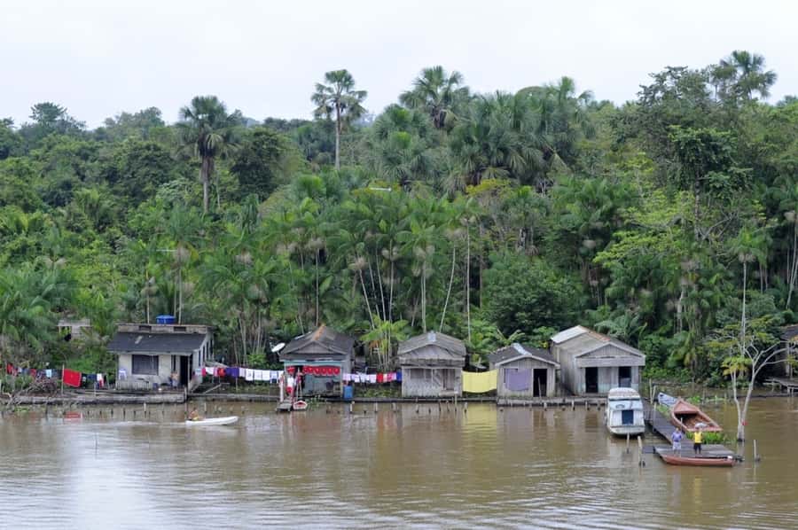 Belém: Half-Day Furos Boat Tour & Riverside Community Visit - Is $58 a fair price?