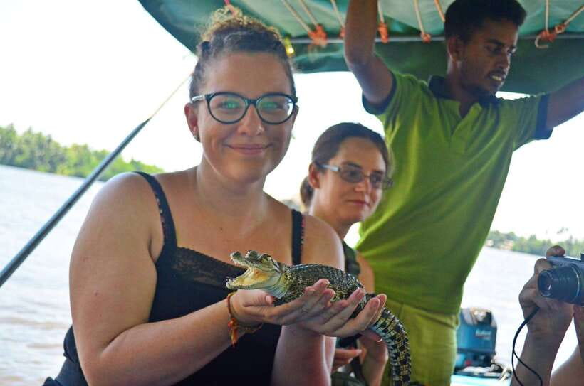 Bentota: River Boat Safari - Crocodiles, monitors, and other wildlife