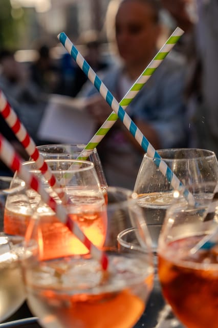 Berlin: Audrey Ahoi! Spree cruise with drag queen (HOL) - Booking advice for a smoother outing