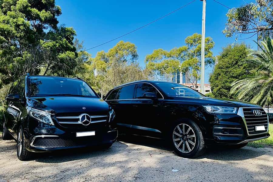 Blue Mountains: Private Tour with Wildlife and River Cruise - Three Sisters and Echo Point views