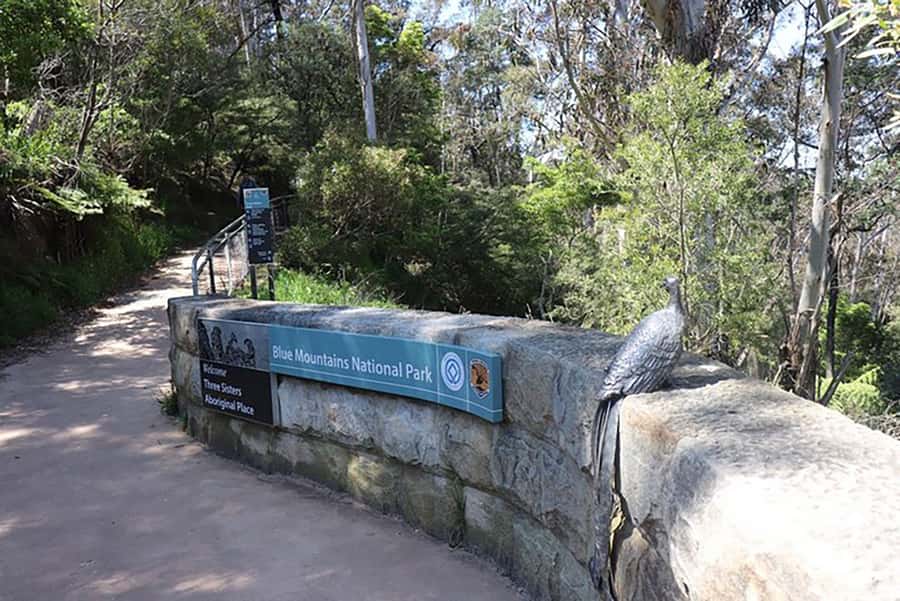 Blue Mountains: Private Tour with Wildlife and River Cruise - Katoomba Falls and a quick Leura stop