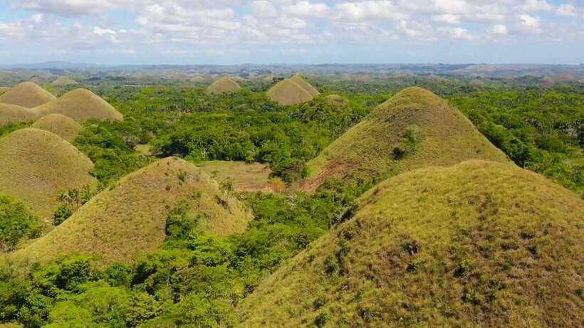 Bohol: Chocolate Hills, Loboc River Cruise, and Buffet Lunch - A Full Day Across Bohol