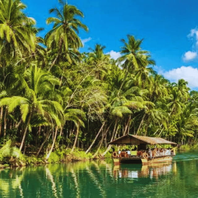 Bohol: Chocolate Hills Tour with Loboc River Cruise & Lunch - A full day across Bohol