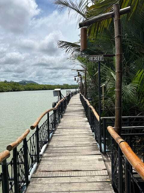 Bohol: Chocolate Hills Tour with Loboc River Cruise & Lunch - Meeting the Philippine tarsier
