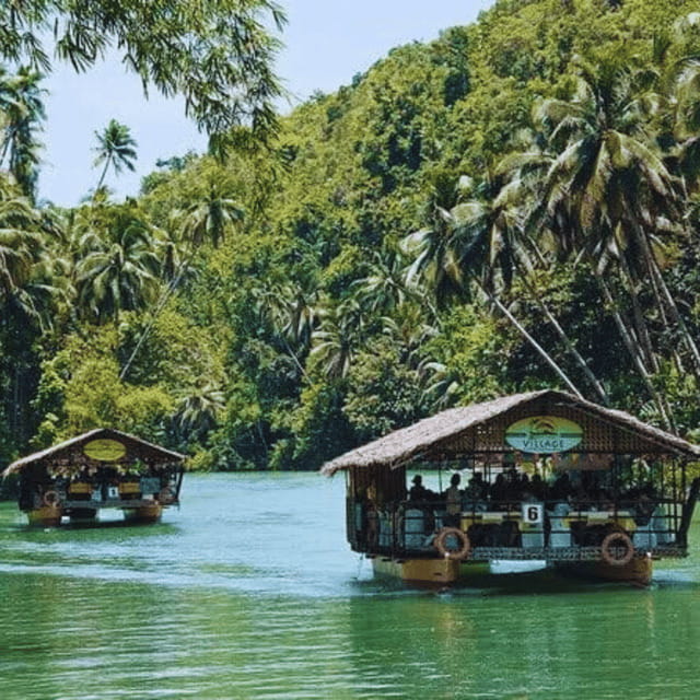 Bohol: Chocolate Hills Tour with Loboc River Cruise & Lunch - Transport, drivers, and the pace of the day