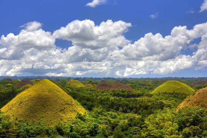 Bohol Countryside Day Tour From Cebu City | Lunch at Loboc River Cruise - Tarsiers are the most special close-up encounter