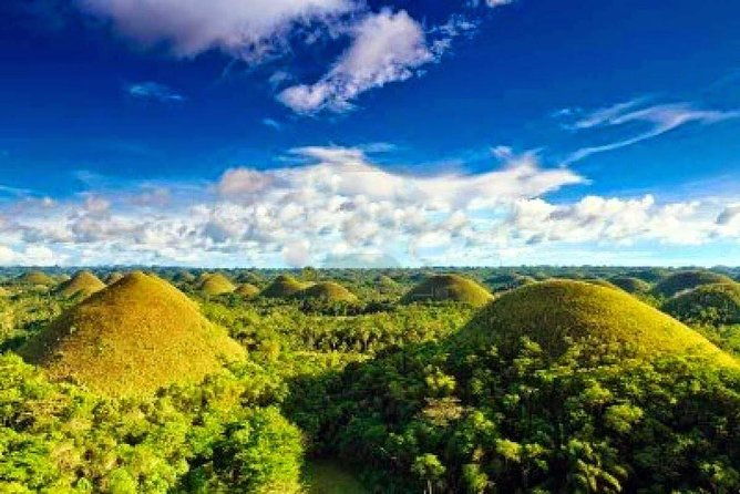 Bohol Countryside Day Tour From Cebu City | Lunch at Loboc River Cruise - Loboc River Cruise turns lunch into a Filipino show