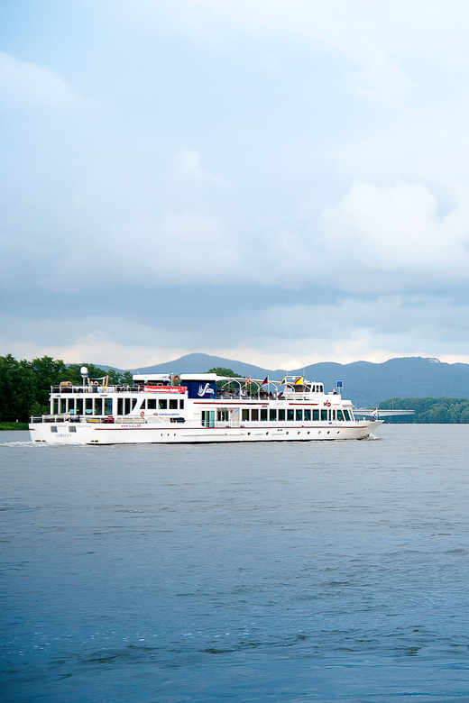 Bonn: Evening Sightseeing Cruise on the Rhine River - Langer Eugen and Bonn’s political past