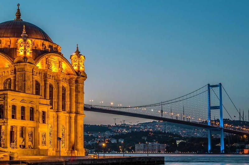 Bosphorus Dinner Cruise & Turkish Night with Live Shows - Turkish dinner with chicken, fish, or vegetarian choices