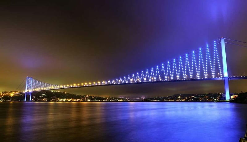 Bosphorus Dinner Cruise & Turkish Night with Live Shows - The Bosphorus views: palaces, bridges, and waterfront mansions
