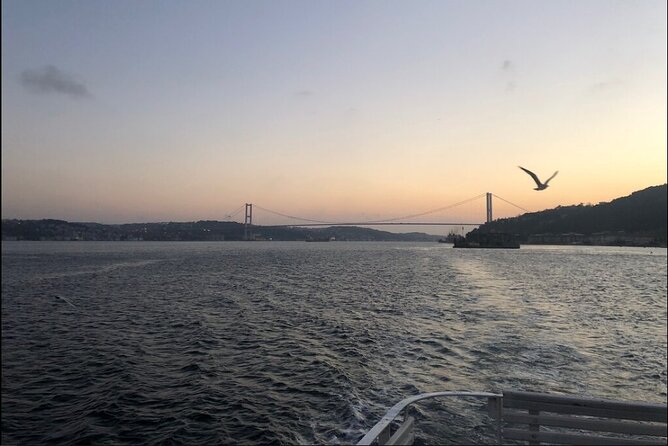 Bosphorus Explorer: 3-Hour Cruise with Asian Side Visit - Maiden’s Tower, Topkapı Palace, and the Return to Eminönü