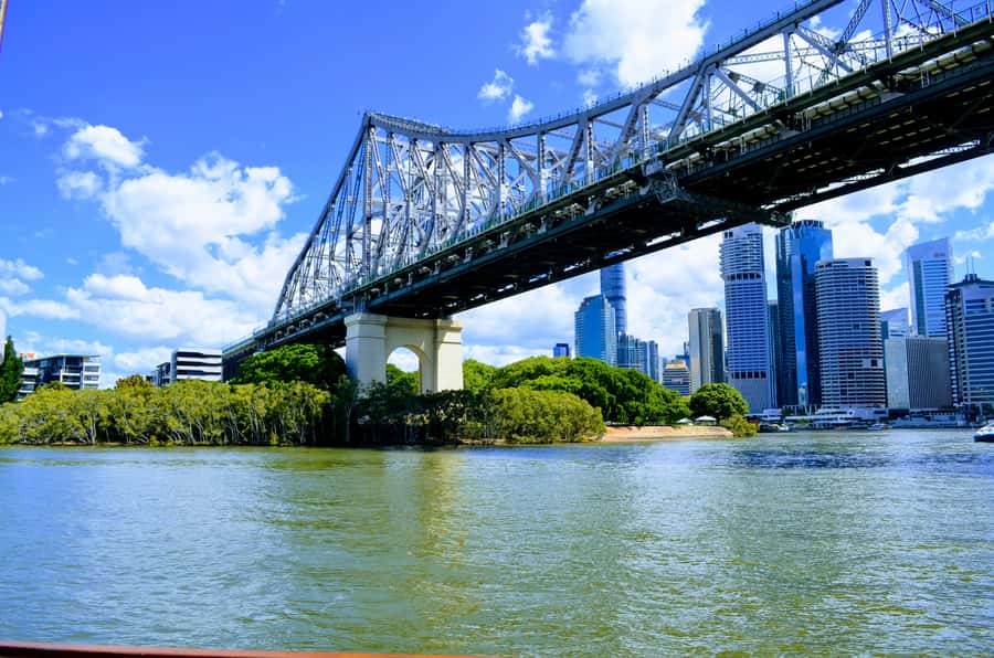 Brisbane: Morning Sightseeing Cruise: 10:30am-12pm (90min) - Kangaroo Point Cliffs from the water