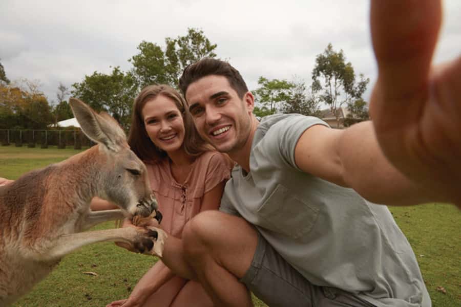 Brisbane River Cruise and Koala Sanctuary Visit - Key points before you book