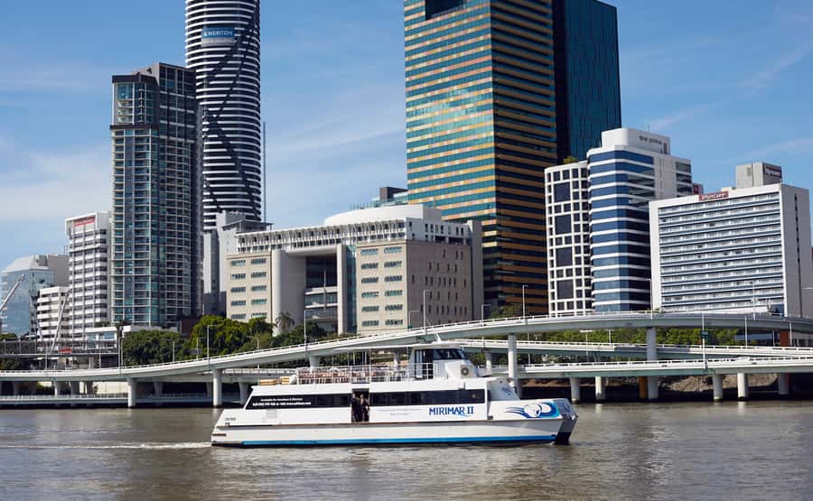 Brisbane River Cruise and Koala Sanctuary Visit - Feeding kangaroos and wallabies