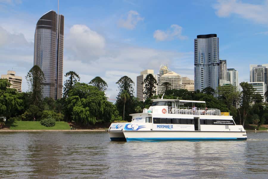 Brisbane River Cruise and Koala Sanctuary Visit - Who will enjoy this day most