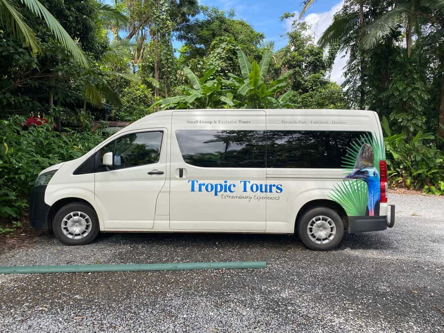 Cairns: Daintree River Cruise and Mossman Gorge - Morning tea before the Daintree River