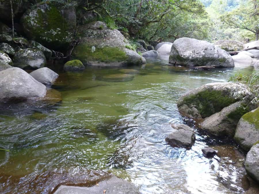 Cairns: Daintree River Cruise and Mossman Gorge - The coastal road to Port Douglas