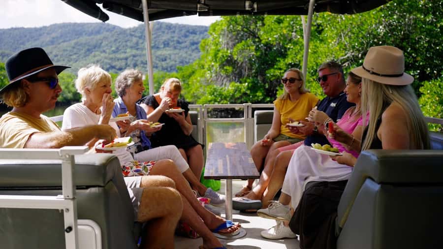 Cairns: Sightseeing River Boat Safari with Soft Drinks - A Gentle Introduction to Cairns from the Water